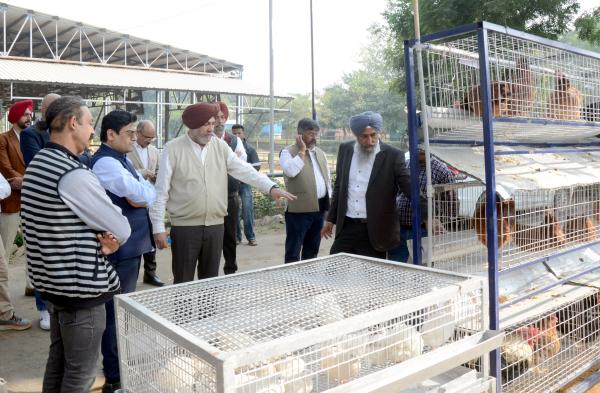 Sh. Sandeep N Mahatme, PS to the Minister of Fisheries, Animal Husbandry & Dairying, visits Vet Varsity